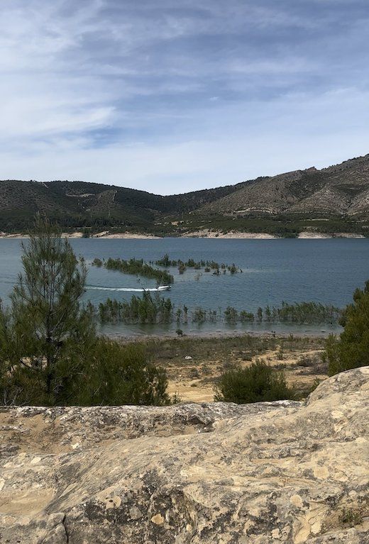 Pantano. Anabmon