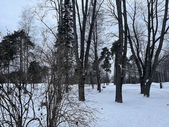 Parque Sibelius. Anabmon