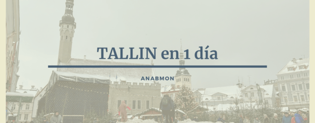 Tallin en 1 día. Anabmon