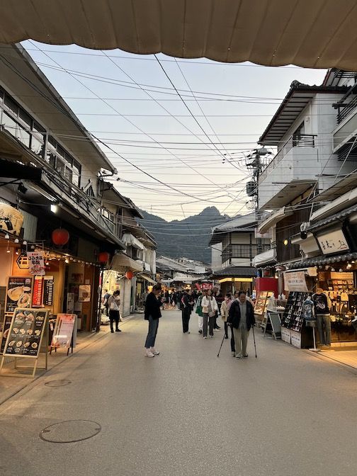 Omotesando street. Anabmon